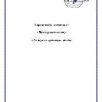Вариатив Балауса шығармашылық 2023-2024